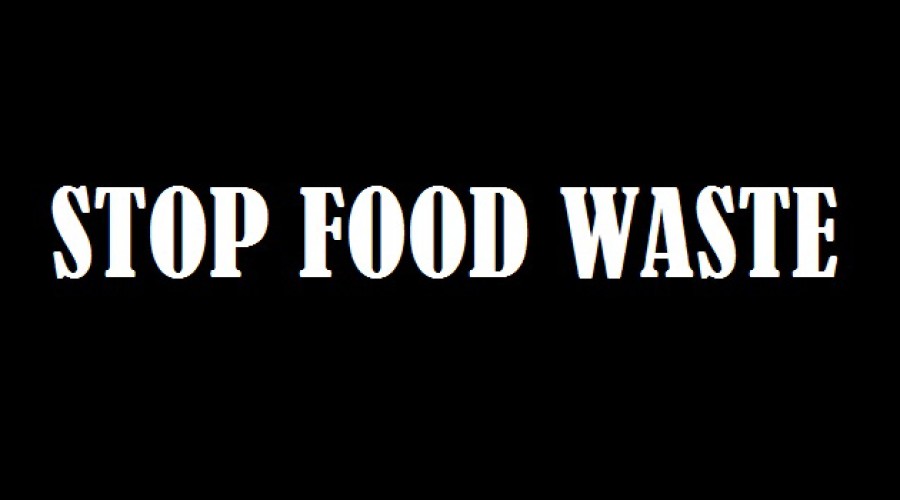 Stop Food Waste and save Ugly food movement