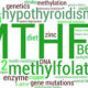 Methylation & Detoxification