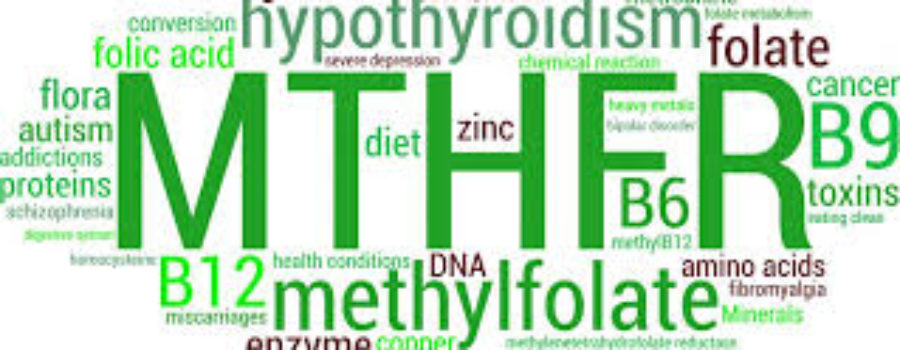 Methylation & Detoxification