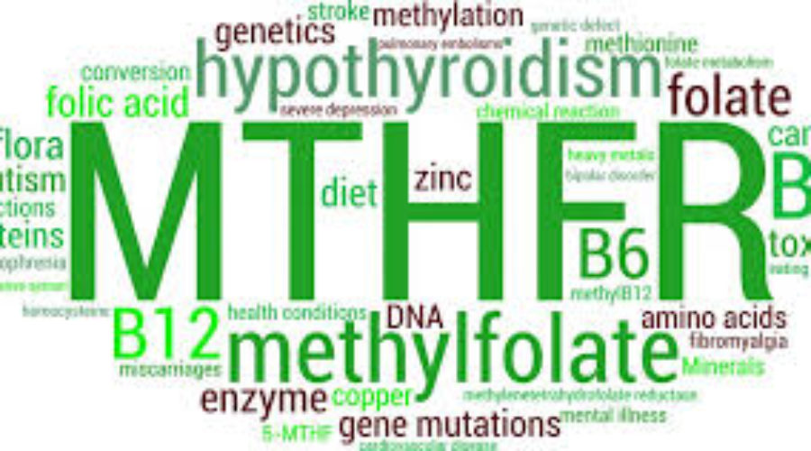 Methylation & Detoxification