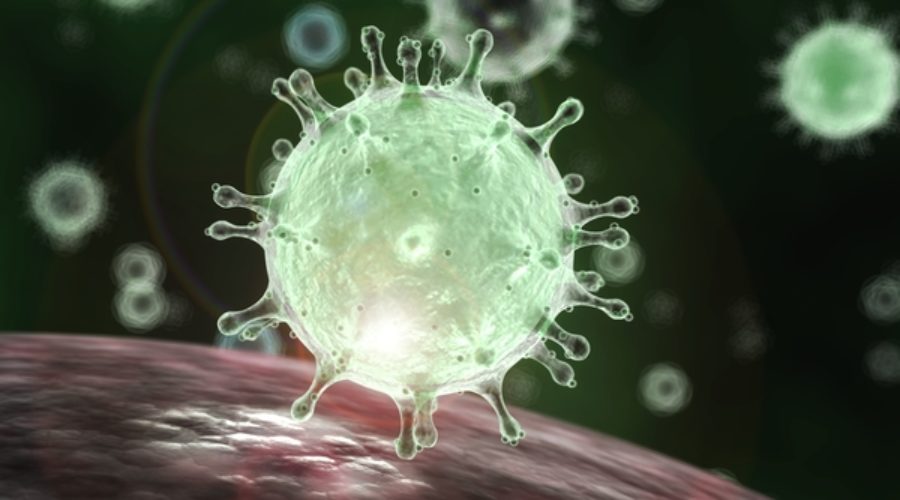 CoronaVirus why building your immunity and detoxing is beneficial and protective